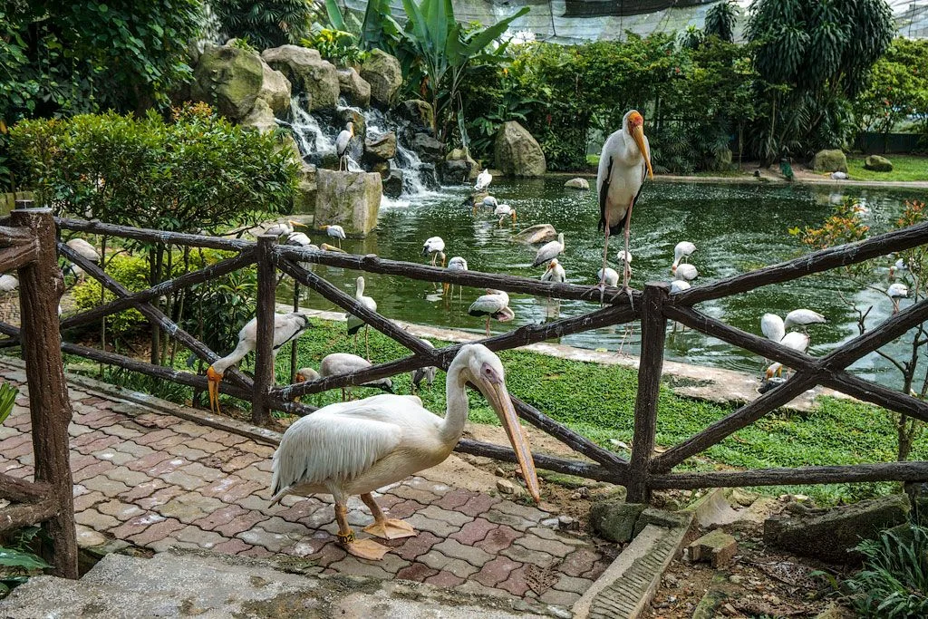 5054209_original.jpg 5054209_original.jpg